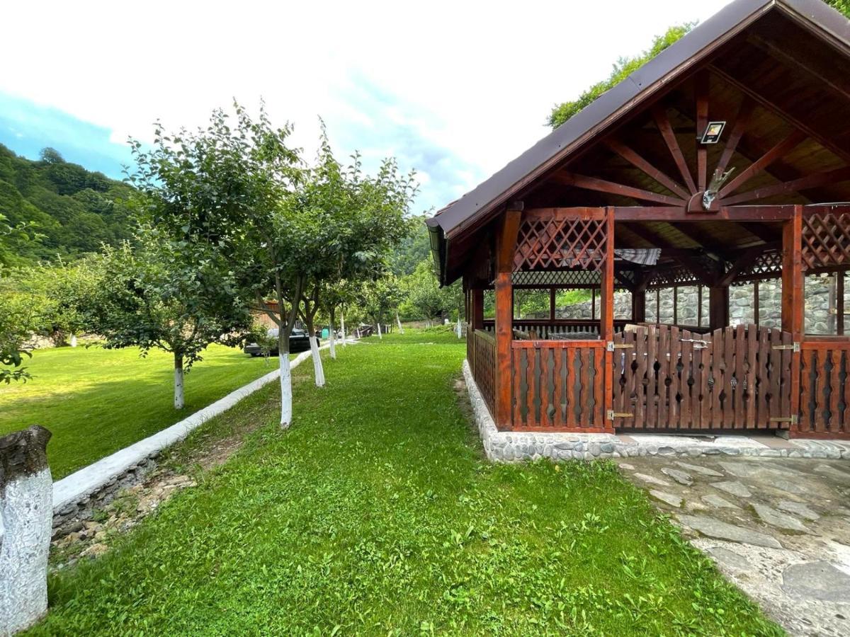 Lotrioara Villa *