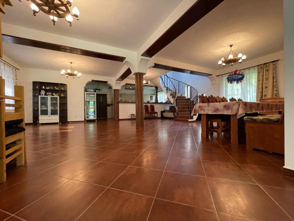 Villa Lotrioara
