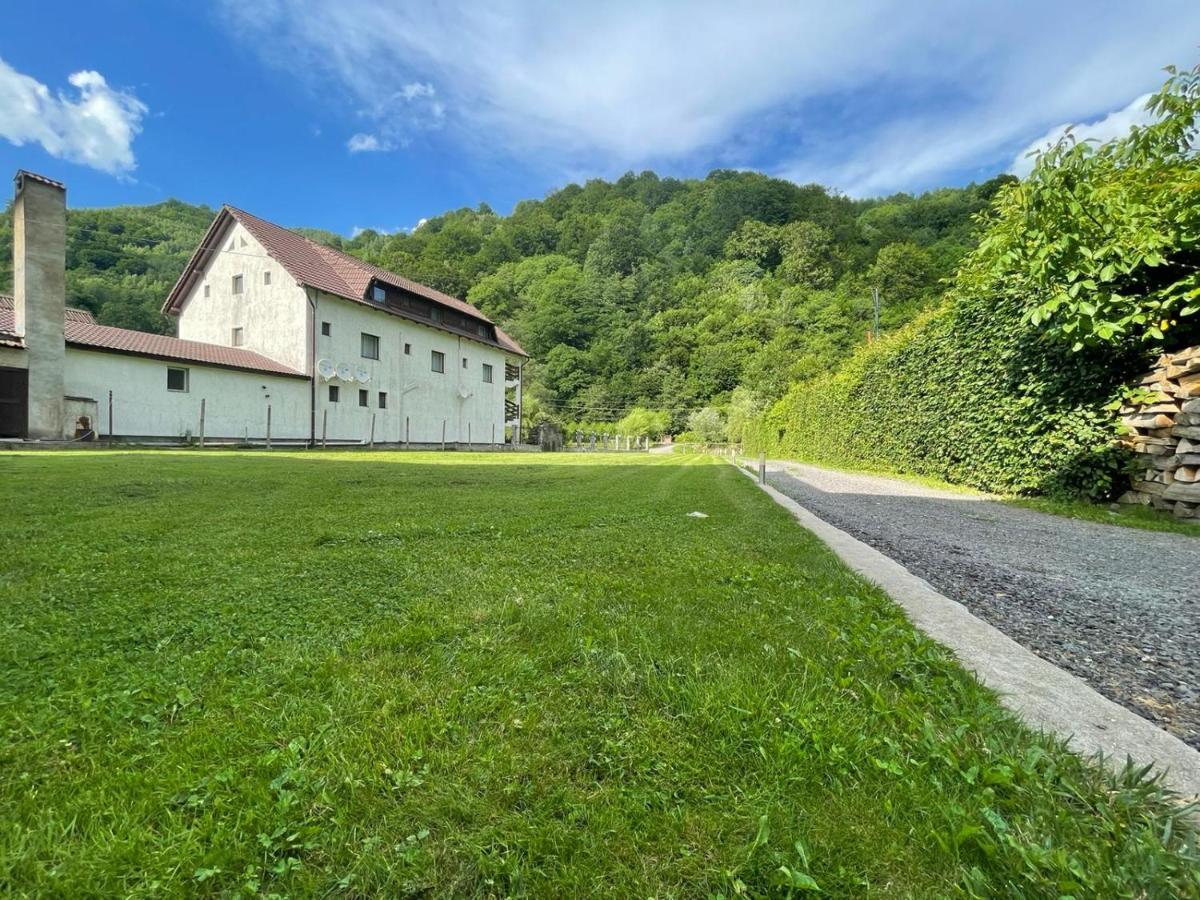 Lotrioara Sibiu