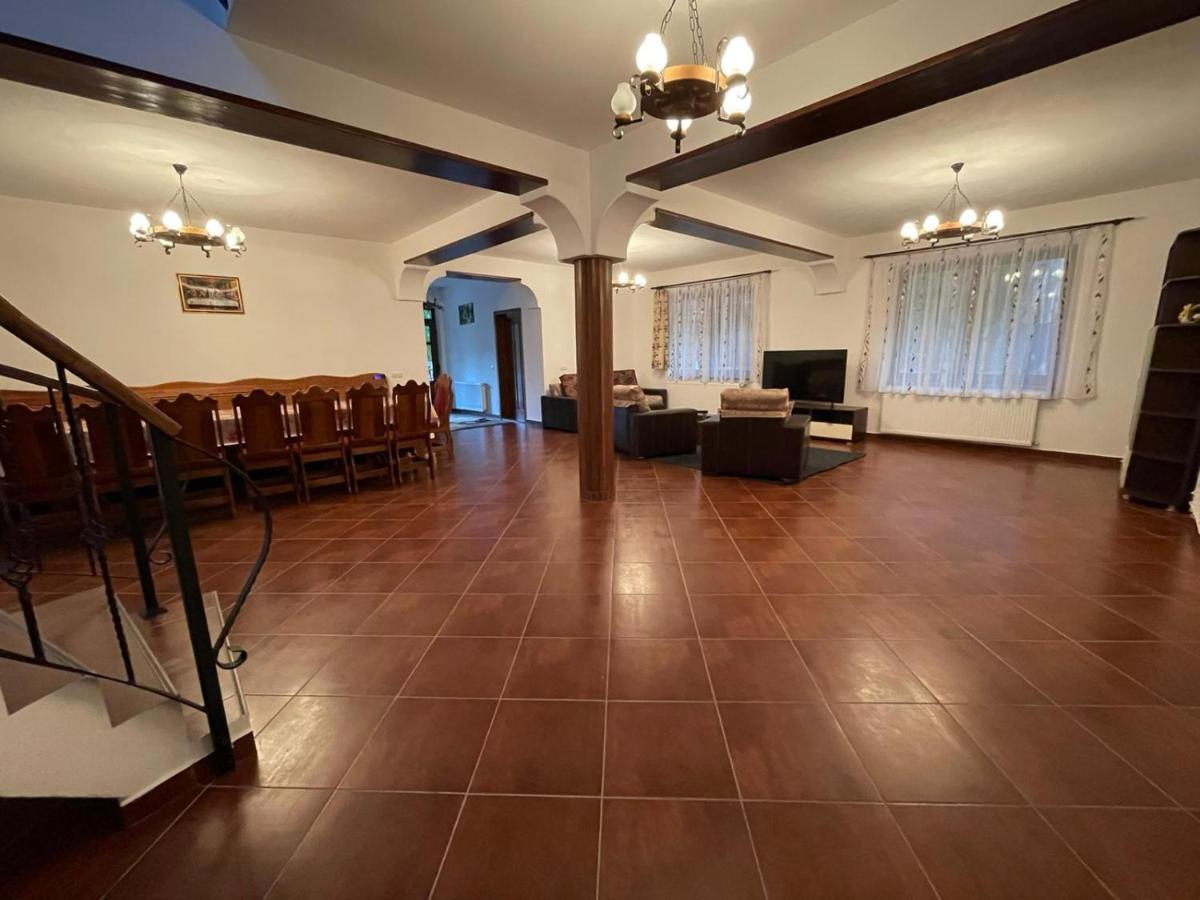 Villa Lotrioara