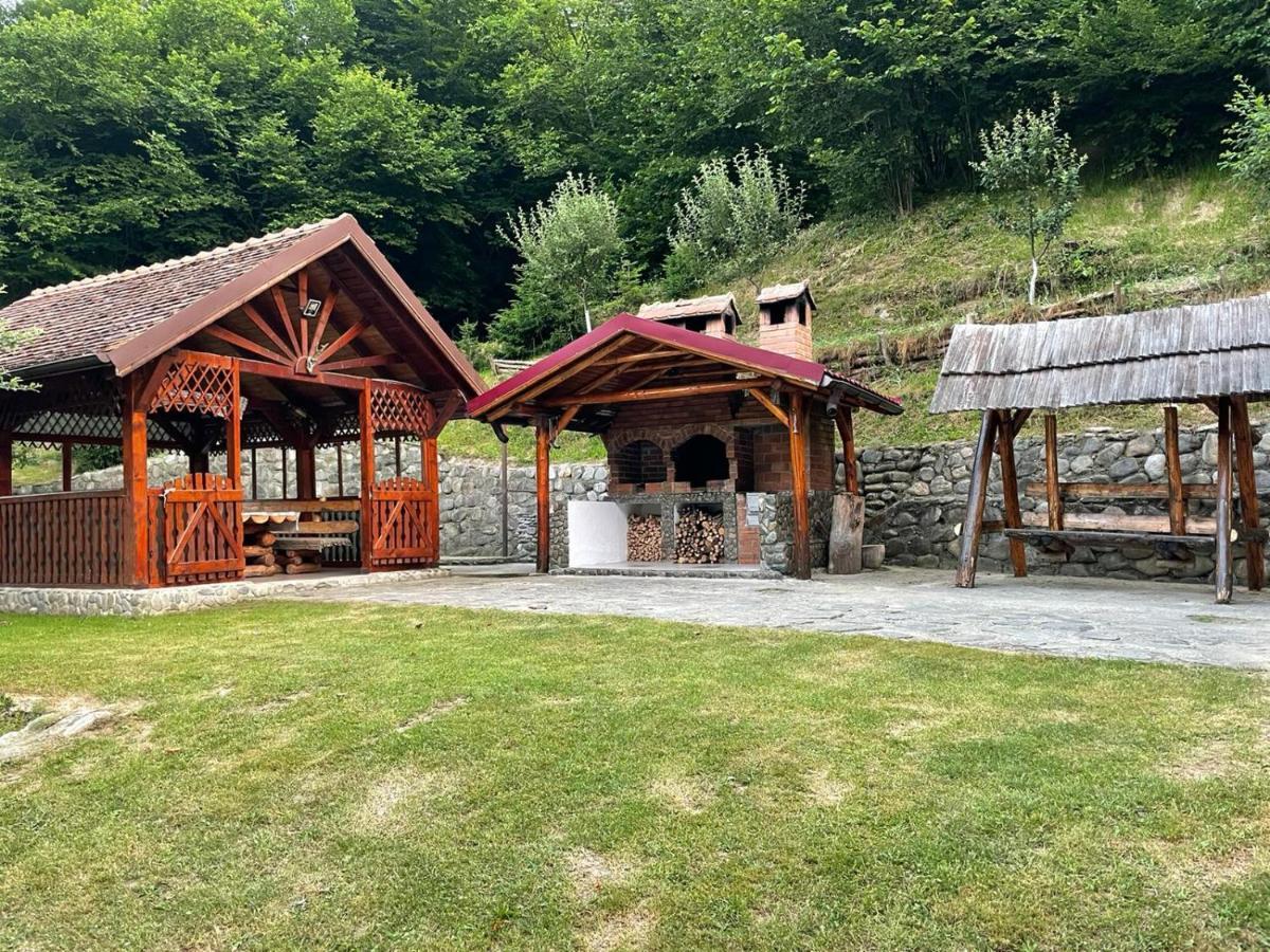 Lotrioara Villa Sibiu